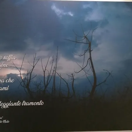 Verdepoesia